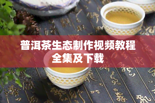 普洱茶生态制作视频教程全集及下载