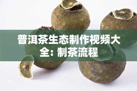 普洱茶生态制作视频大全: 制茶流程