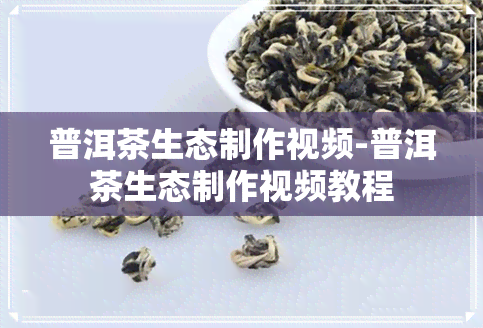 普洱茶生态制作视频-普洱茶生态制作视频教程