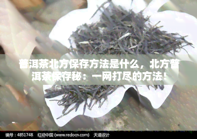 普洱茶北方保存方法是什么，北方普洱茶保存秘：一网打尽的方法！