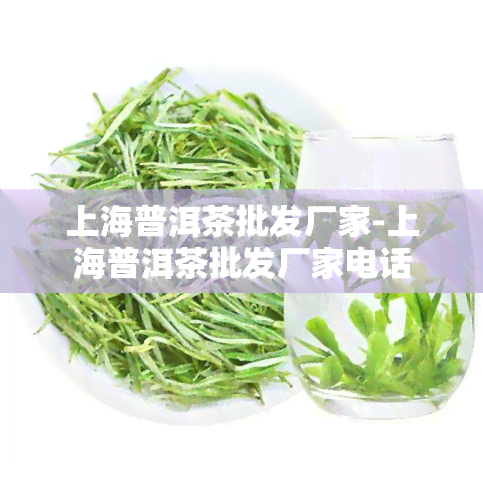 上海普洱茶批发厂家-上海普洱茶批发厂家电话