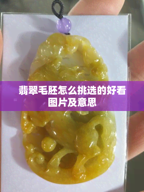 翡翠毛胚怎么挑选的好看图片及意思