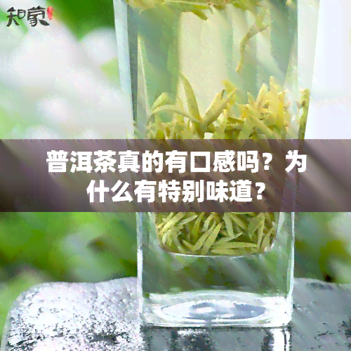 普洱茶真的有口感吗？为什么有特别味道？