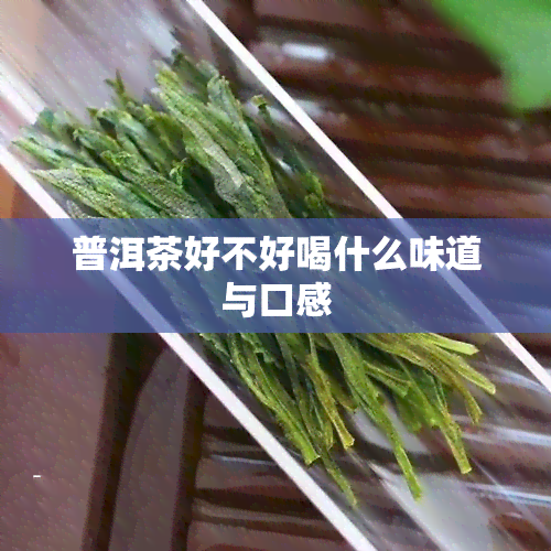 普洱茶好不好喝什么味道与口感