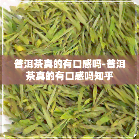 普洱茶真的有口感吗-普洱茶真的有口感吗知乎