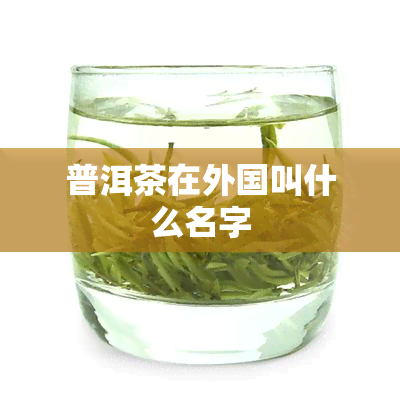 普洱茶在外国叫什么名字