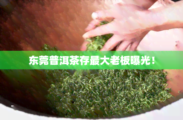 东莞普洱茶存更大老板曝光！