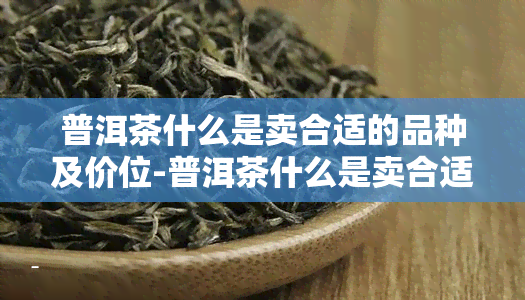 普洱茶什么是卖合适的品种及价位-普洱茶什么是卖合适的品种及价位呢