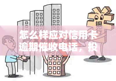 怎么样应对信用卡逾期电话，投诉技巧