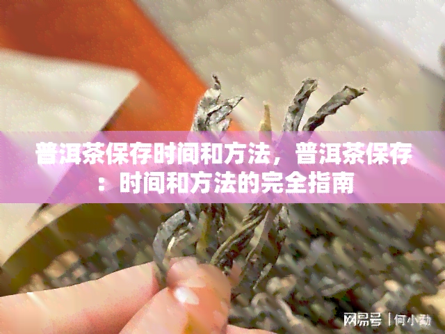 普洱茶保存时间和方法，普洱茶保存：时间和方法的完全指南