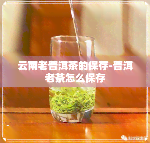 云南老普洱茶的保存-普洱老茶怎么保存