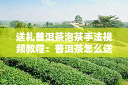 送礼普洱茶泡茶手法视频教程：普洱茶怎么送礼？