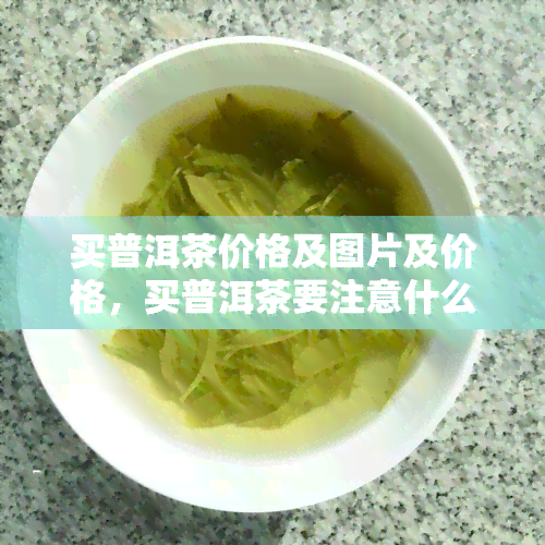 买普洱茶价格及图片及价格，买普洱茶要注意什么，买普洱茶攻略