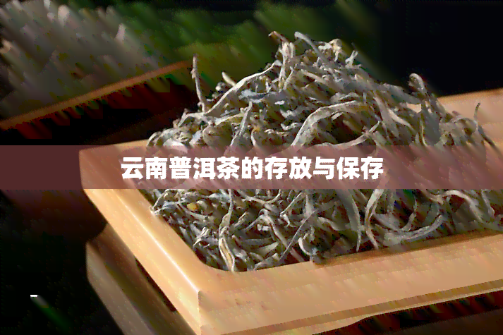 云南普洱茶的存放与保存