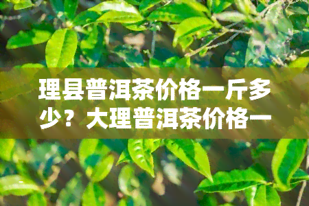 理县普洱茶价格一斤多少？大理普洱茶价格一斤？