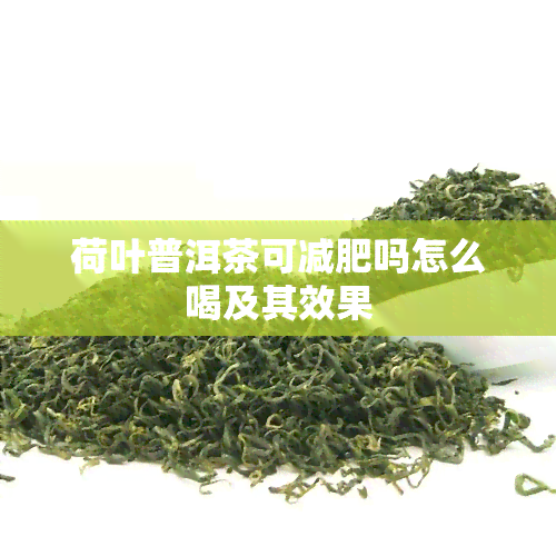 荷叶普洱茶可减肥吗怎么喝及其效果