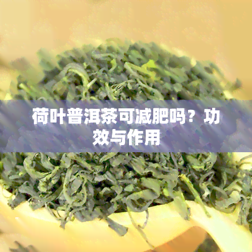 荷叶普洱茶可减肥吗？功效与作用