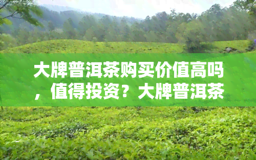 大牌普洱茶购买价值高吗，值得投资？大牌普洱茶的购买是否物有所值？