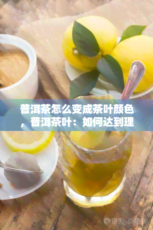 普洱茶怎么变成茶叶颜色，普洱茶叶：如何达到理想颜色？