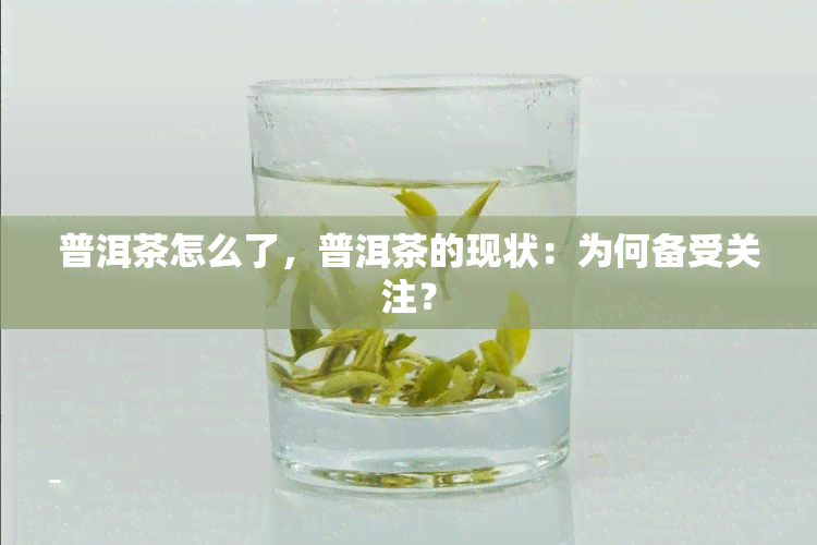 普洱茶怎么了，普洱茶的现状：为何备受关注？