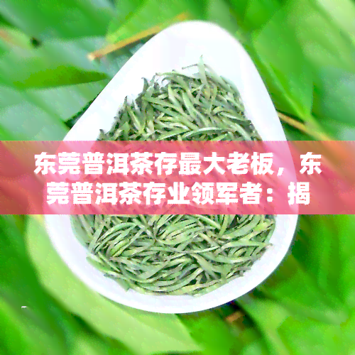 东莞普洱茶存更大老板，东莞普洱茶存业领军者：揭秘更大老板的秘密策略！