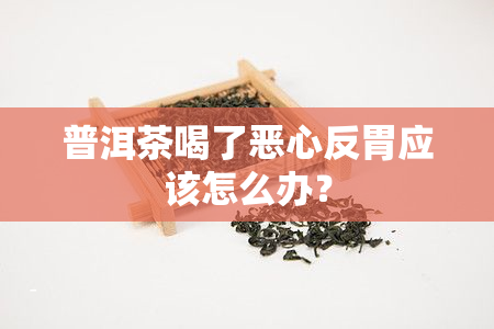 普洱茶喝了恶心反胃应该怎么办？