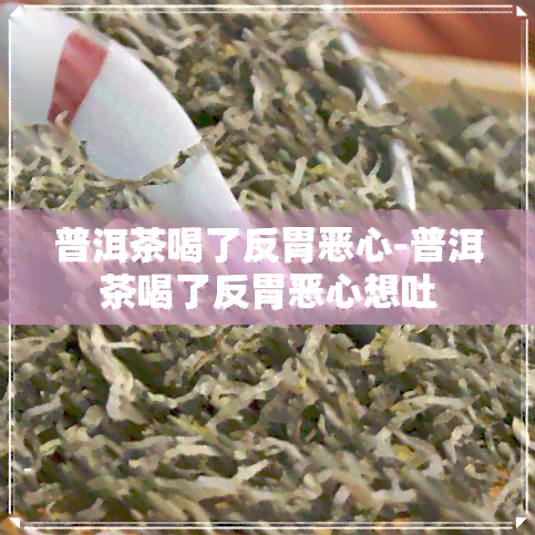 普洱茶喝了反胃恶心-普洱茶喝了反胃恶心想吐