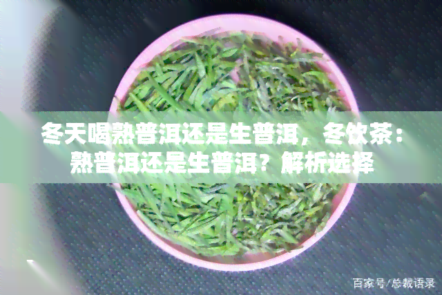 冬天喝熟普洱还是生普洱，冬饮茶：熟普洱还是生普洱？解析选择