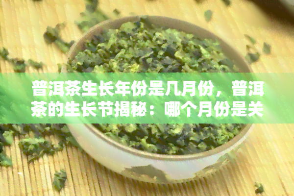 普洱茶生长年份是几月份，普洱茶的生长节揭秘：哪个月份是关键？