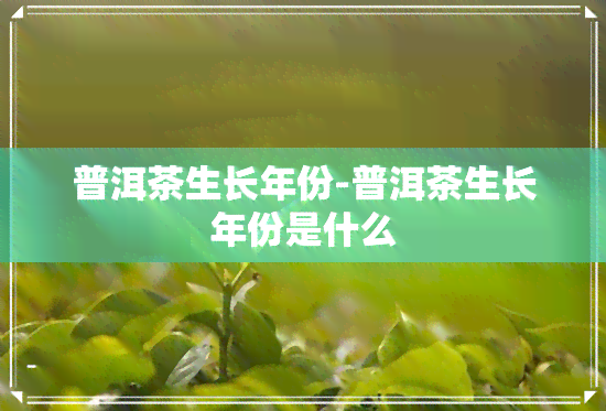 普洱茶生长年份-普洱茶生长年份是什么