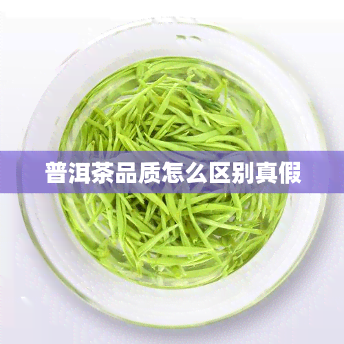 普洱茶品质怎么区别真假