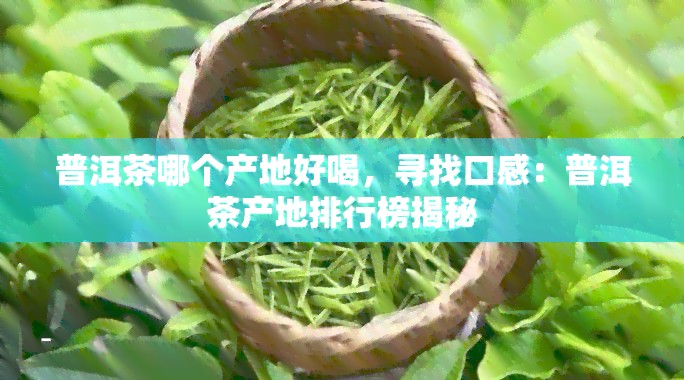 普洱茶哪个产地好喝，寻找口感：普洱茶产地排行榜揭秘