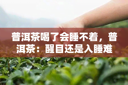 普洱茶喝了会睡不着，普洱茶：醒目还是入睡难题？揭秘睡眠与普洱茶的关系