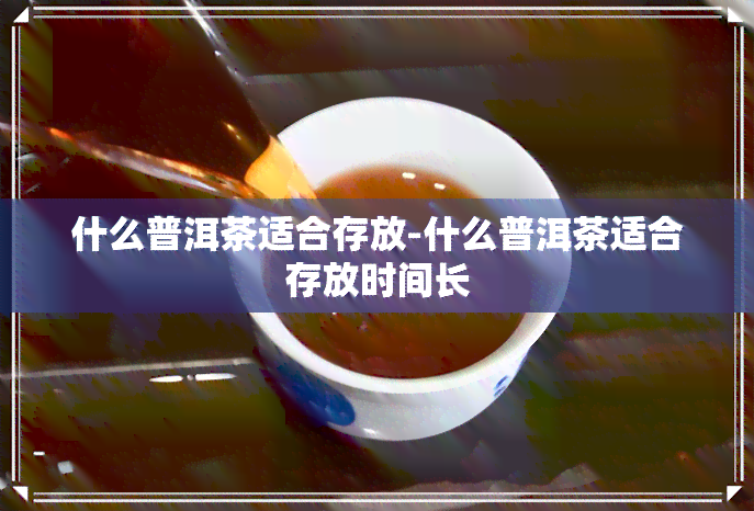 什么普洱茶适合存放-什么普洱茶适合存放时间长