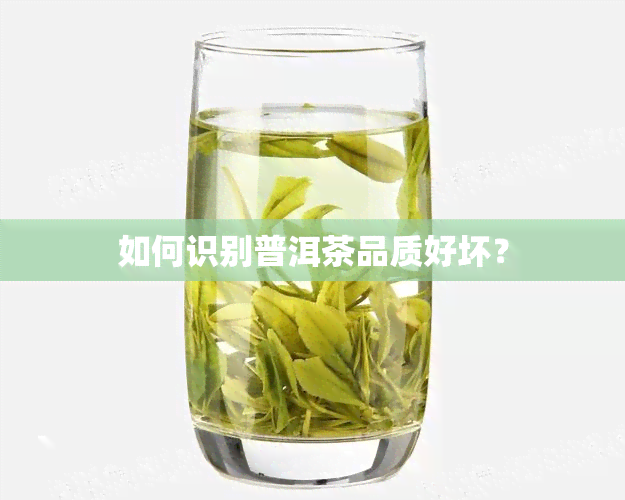 如何识别普洱茶品质好坏？