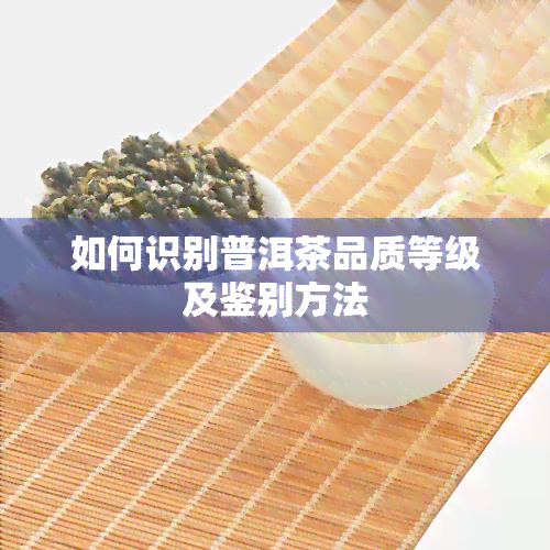 如何识别普洱茶品质等级及鉴别方法