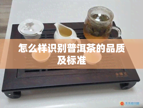 怎么样识别普洱茶的品质及标准