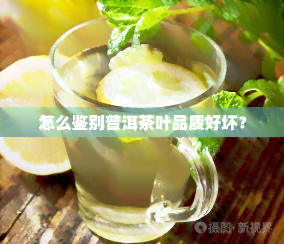 怎么鉴别普洱茶叶品质好坏？