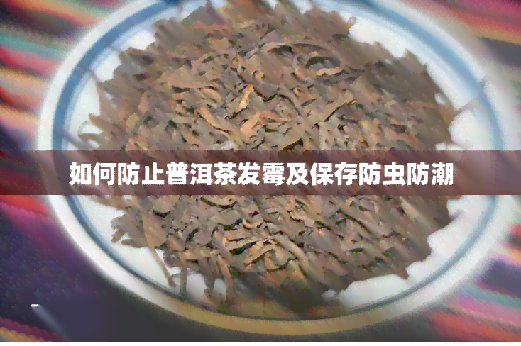 如何防止普洱茶发霉及保存防虫防潮