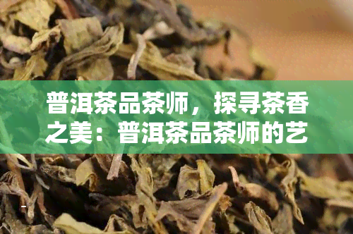 普洱茶品茶师，探寻茶香之美：普洱茶品茶师的艺术与技艺