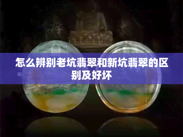 怎么辨别老坑翡翠和新坑翡翠的区别及好坏