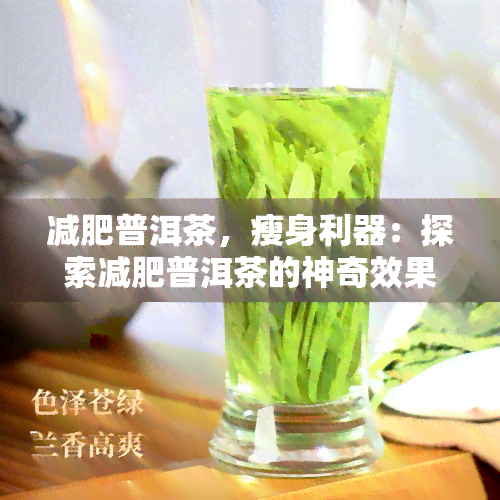 减肥普洱茶，瘦身利器：探索减肥普洱茶的神奇效果！