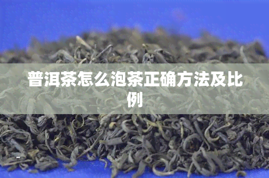 普洱茶怎么泡茶正确方法及比例