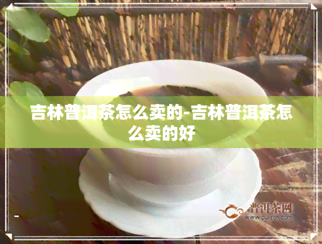 吉林普洱茶怎么卖的-吉林普洱茶怎么卖的好