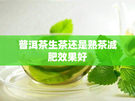 普洱茶生茶还是熟茶减肥效果好