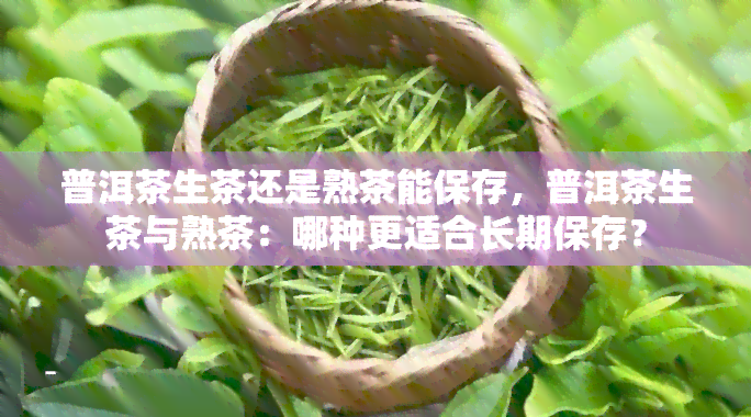 普洱茶生茶还是熟茶能保存，普洱茶生茶与熟茶：哪种更适合长期保存？