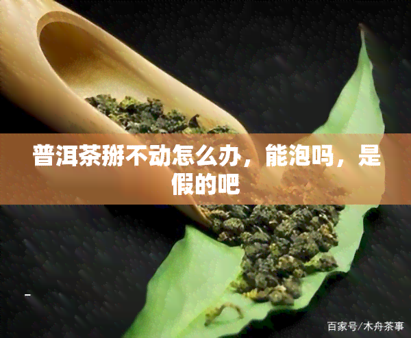 普洱茶掰不动怎么办，能泡吗，是假的吧