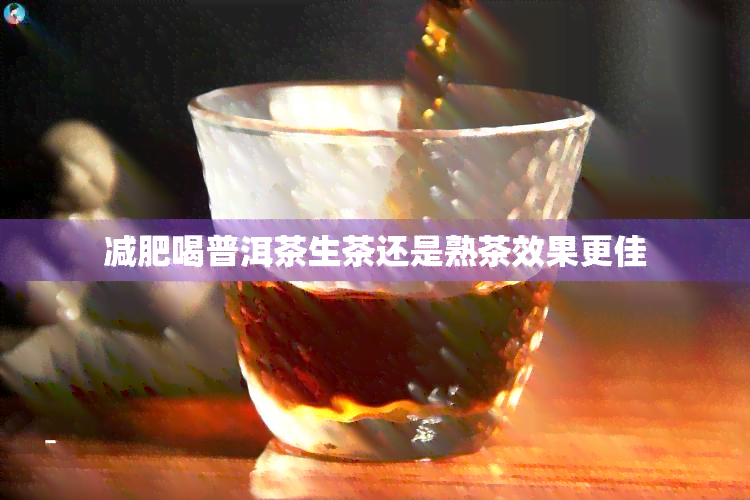 减肥喝普洱茶生茶还是熟茶效果更佳