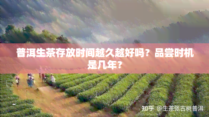 普洱生茶存放时间越久越好吗？品尝时机是几年？