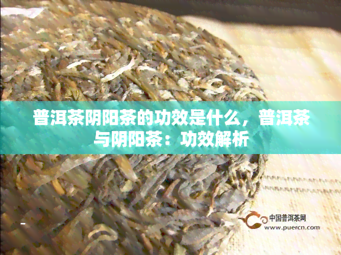 普洱茶阴阳茶的功效是什么，普洱茶与阴阳茶：功效解析